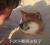 阿*