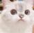 笋*笋子