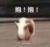 拔*呐